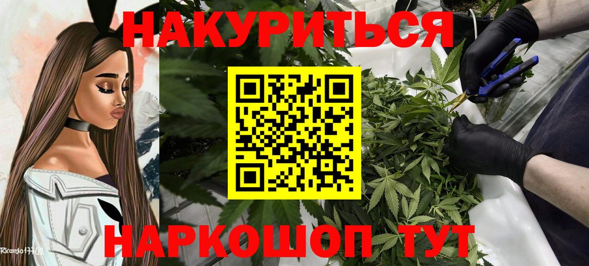 Канабис конопля Вязники